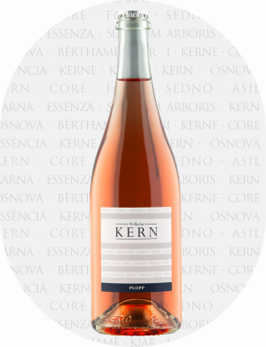 Produktabbildung STREIF Plopp Traubensaft